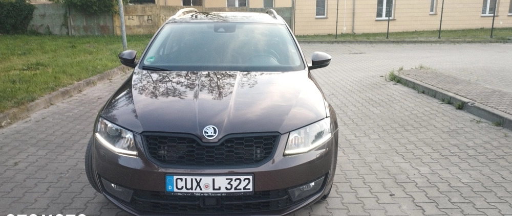 Skoda Octavia cena 40800 przebieg: 182000, rok produkcji 2015 z Złotoryja małe 704